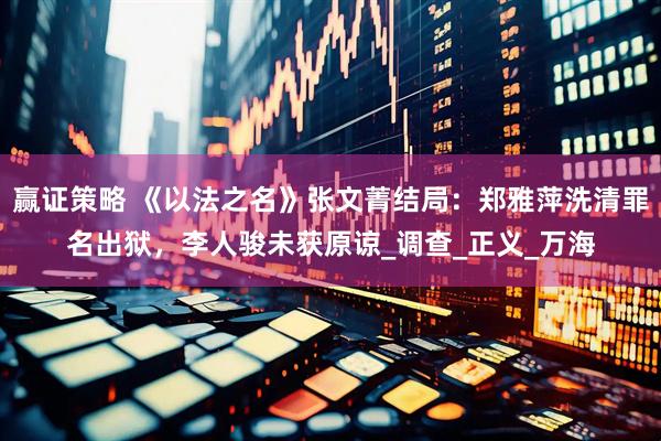 赢证策略 《以法之名》张文菁结局：郑雅萍洗清罪名出狱，李人骏未获原谅_调查_正义_万海